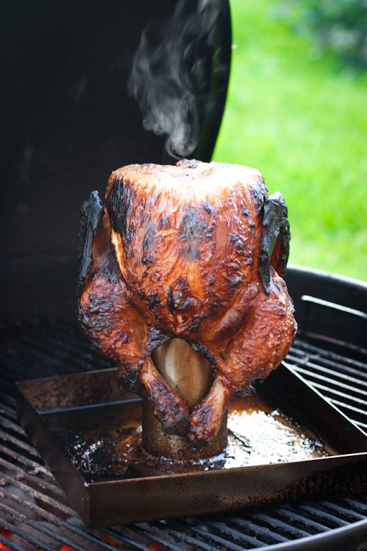 Chicken 1