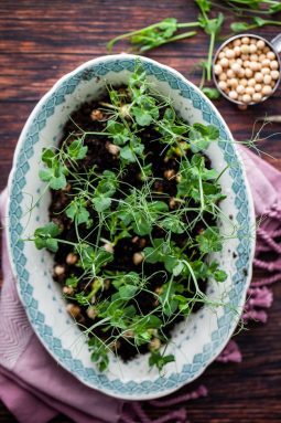 odla ärtskott hemma