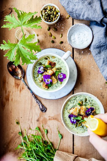 spenatsoppa, soppa, snøfrisk, färskost