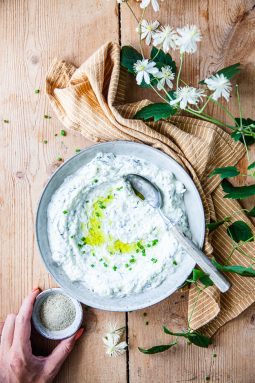 tzatziki med squash