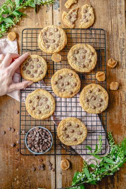 cookies, chocolate chip cookies, kola, rollokola